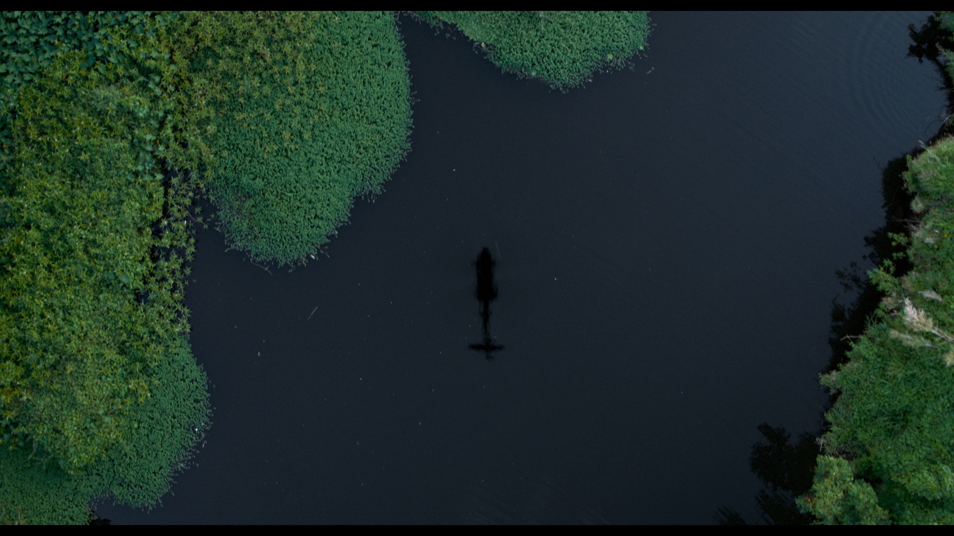 disco_boy_image_galeria_2